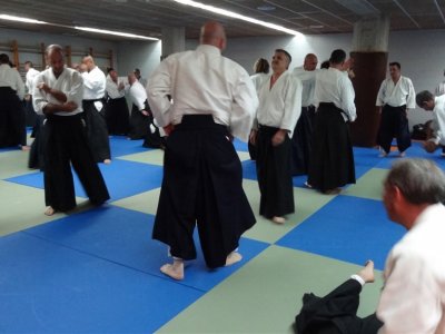 Palma De Mallorca, 8.Dan Yoshimitsu Yamada Shihan Semineri 26-28 Mayıs 2017