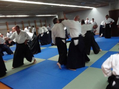 Palma De Mallorca, 8.Dan Yoshimitsu Yamada Shihan Semineri 26-28 Mayıs 2017