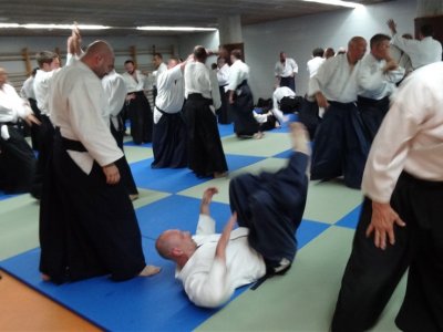 Palma De Mallorca, 8.Dan Yoshimitsu Yamada Shihan Semineri 26-28 Mayıs 2017