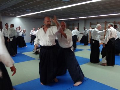 Palma De Mallorca, 8.Dan Yoshimitsu Yamada Shihan Semineri 26-28 Mayıs 2017