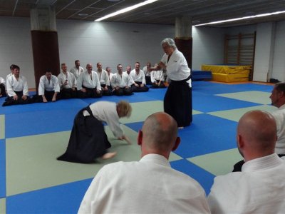 Palma De Mallorca, 8.Dan Yoshimitsu Yamada Shihan Semineri 26-28 Mayıs 2017