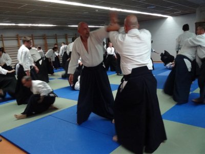 Palma De Mallorca, 8.Dan Yoshimitsu Yamada Shihan Semineri 26-28 Mayıs 2017