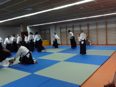 Palma De Mallorca, 8.Dan Yoshimitsu Yamada Shihan Semineri 26-28 Mayıs 2017