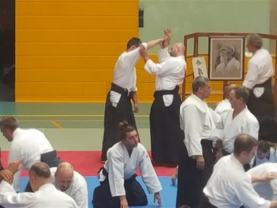 Palma De Mallorca, 8.Dan Yoshimitsu Yamada Shihan Semineri 26-28 Mayıs 2017