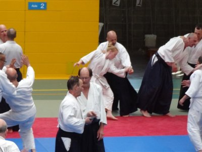 Palma De Mallorca, 8.Dan Yoshimitsu Yamada Shihan Semineri 26-28 Mayıs 2017