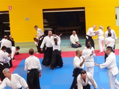 Palma De Mallorca, 8.Dan Yoshimitsu Yamada Shihan Semineri 26-28 Mayıs 2017