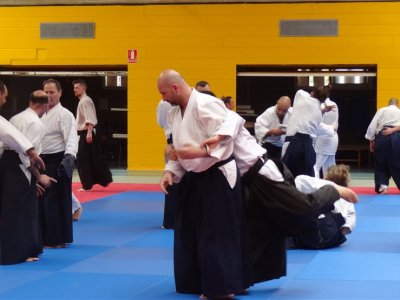 Palma De Mallorca, 8.Dan Yoshimitsu Yamada Shihan Semineri 26-28 Mayıs 2017