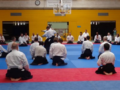 Palma De Mallorca, 8.Dan Yoshimitsu Yamada Shihan Semineri 26-28 Mayıs 2017