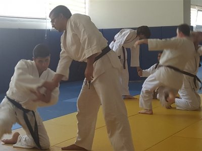 TWF AIKIDO DAN TERFİ SINAVI ANKARA