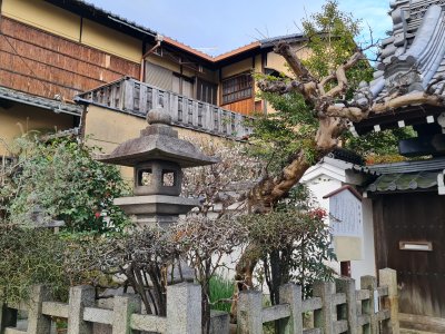 29 OCAK - 3 ŞUBAT 2024  JAPONYA SEMİNERİ 
