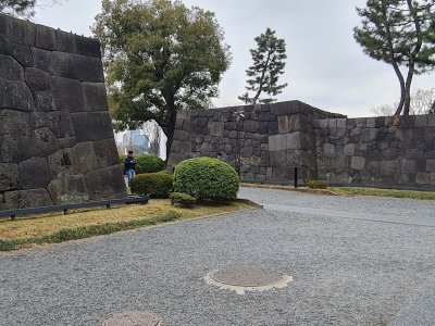 29 OCAK - 3 ŞUBAT 2024  JAPONYA SEMİNERİ 
