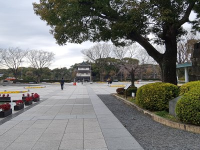 29 OCAK - 3 ŞUBAT 2024  JAPONYA SEMİNERİ 