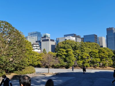 29 OCAK - 3 ŞUBAT 2024  JAPONYA SEMİNERİ 
