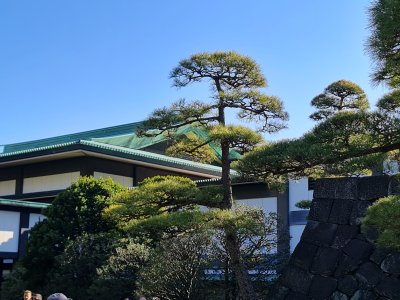 29 OCAK - 3 ŞUBAT 2024  JAPONYA SEMİNERİ 