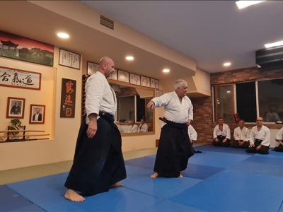 3-4-5 EKİM 2024  7.Dan Roberto BOLLERO Shihan İstanbul Semineri