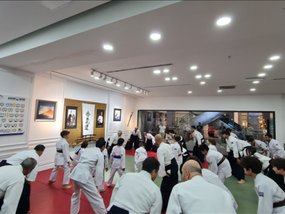 3-4-5 EKİM 2024  7.Dan Roberto BOLLERO Shihan İstanbul Semineri