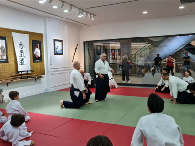 3-4-5 EKİM 2024  7.Dan Roberto BOLLERO Shihan İstanbul Semineri