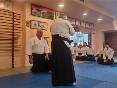 3-4-5 EKİM 2024  7.Dan Roberto BOLLERO Shihan İstanbul Semineri