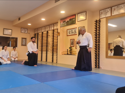3-4-5 EKİM 2024  7.Dan Roberto BOLLERO Shihan İstanbul Semineri