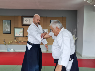 3-4-5 EKİM 2024  7.Dan Roberto BOLLERO Shihan İstanbul Semineri