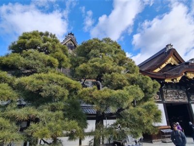 29 OCAK - 3 ŞUBAT 2025 JAPONYA SEMİNERİ