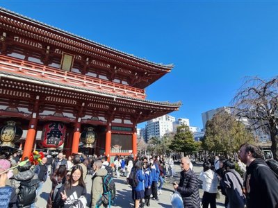 29 OCAK - 3 ŞUBAT 2025 JAPONYA SEMİNERİ