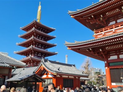 29 OCAK - 3 ŞUBAT 2025 JAPONYA SEMİNERİ