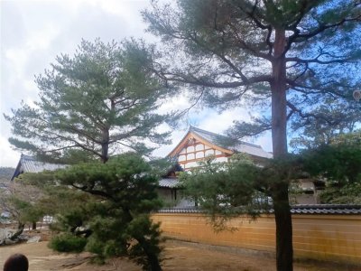 26 OCAK - 4 ŞUBAT 2026 JAPONYA KAMPI