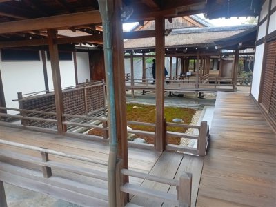26 OCAK - 4 ŞUBAT 2026 JAPONYA KAMPI