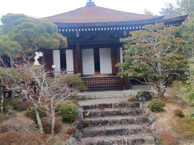 26 OCAK - 4 ŞUBAT 2026 JAPONYA KAMPI