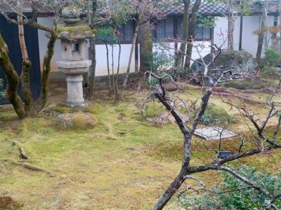 26 OCAK - 4 ŞUBAT 2026 JAPONYA KAMPI