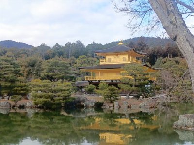 26 OCAK - 4 ŞUBAT 2026 JAPONYA KAMPI
