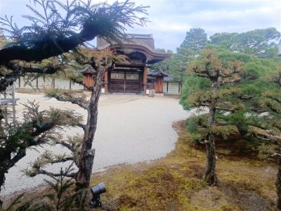26 OCAK - 4 ŞUBAT 2026 JAPONYA KAMPI