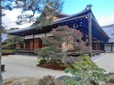 26 OCAK - 4 ŞUBAT 2026 JAPONYA KAMPI