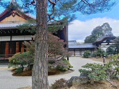 26 OCAK - 4 ŞUBAT 2026 JAPONYA KAMPI