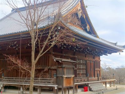 26 OCAK - 4 ŞUBAT 2026 JAPONYA KAMPI