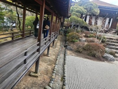 26 OCAK - 4 ŞUBAT 2026 JAPONYA KAMPI