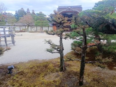 26 OCAK - 4 ŞUBAT 2026 JAPONYA KAMPI