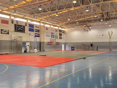 30-31 MAYIS 2026 PALMA - İSPANYA SEMİNERİ / 8.Dan H. OSAWA Shihan
