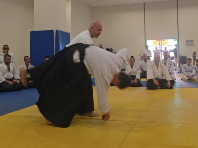 6 Haziran 2026 TWK Aikido Eğitim ve Gelişim Semineri / ANTALYA
